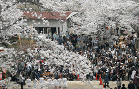 ÎR܂