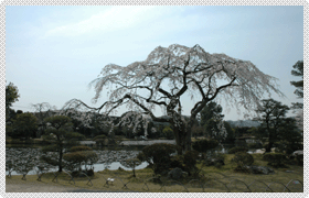 衆楽園