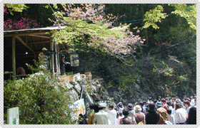 横野滝滝開き