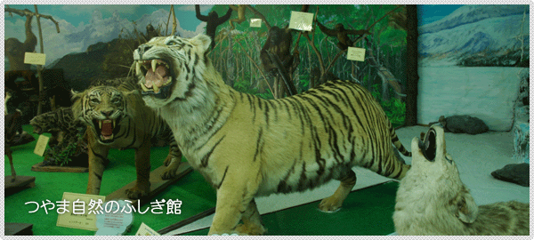 偮傗傑帺慠偺傆偟偓娰